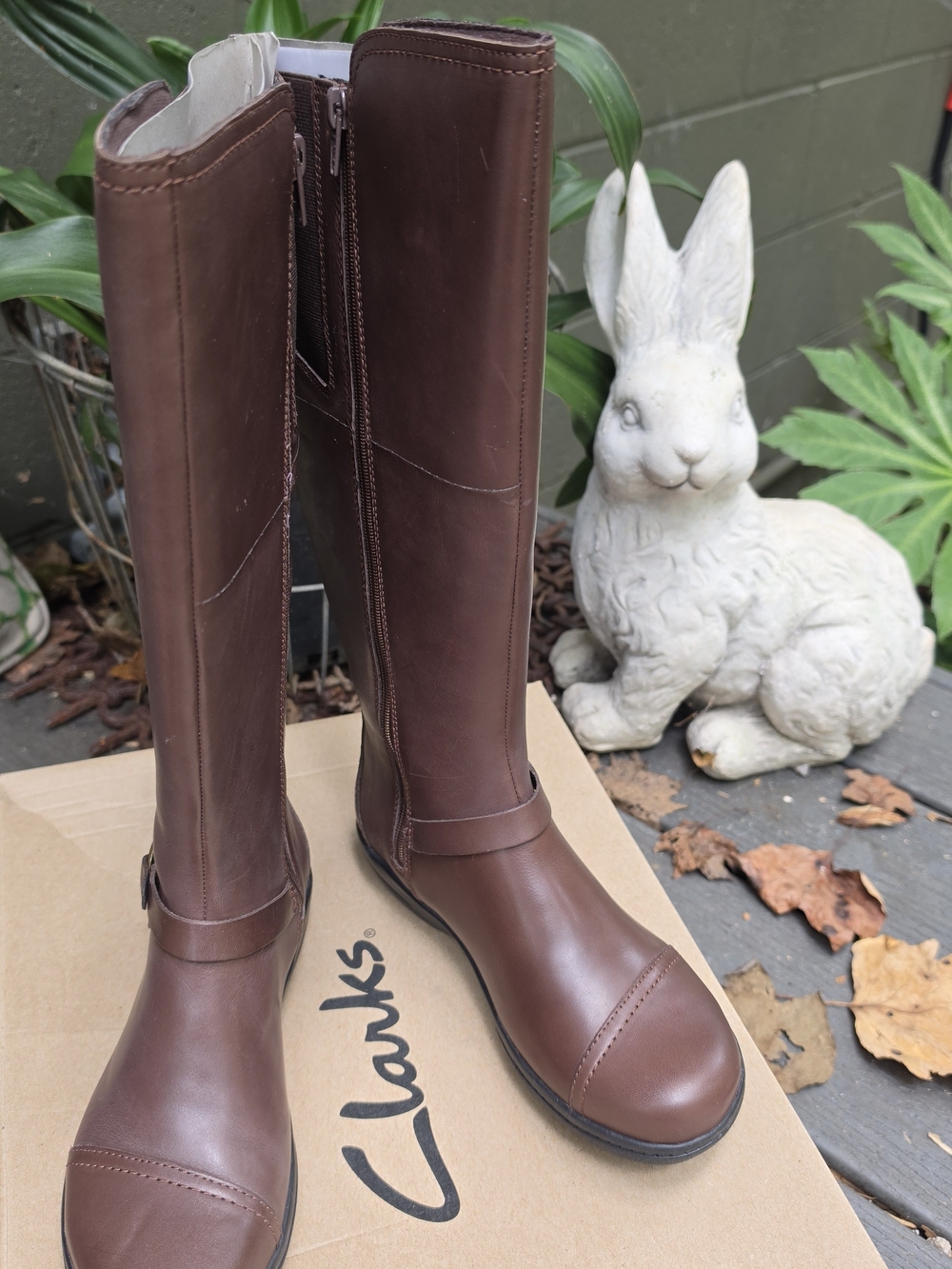 NIB Women's Brown Tall Riding Boots - Picture 2 of 7